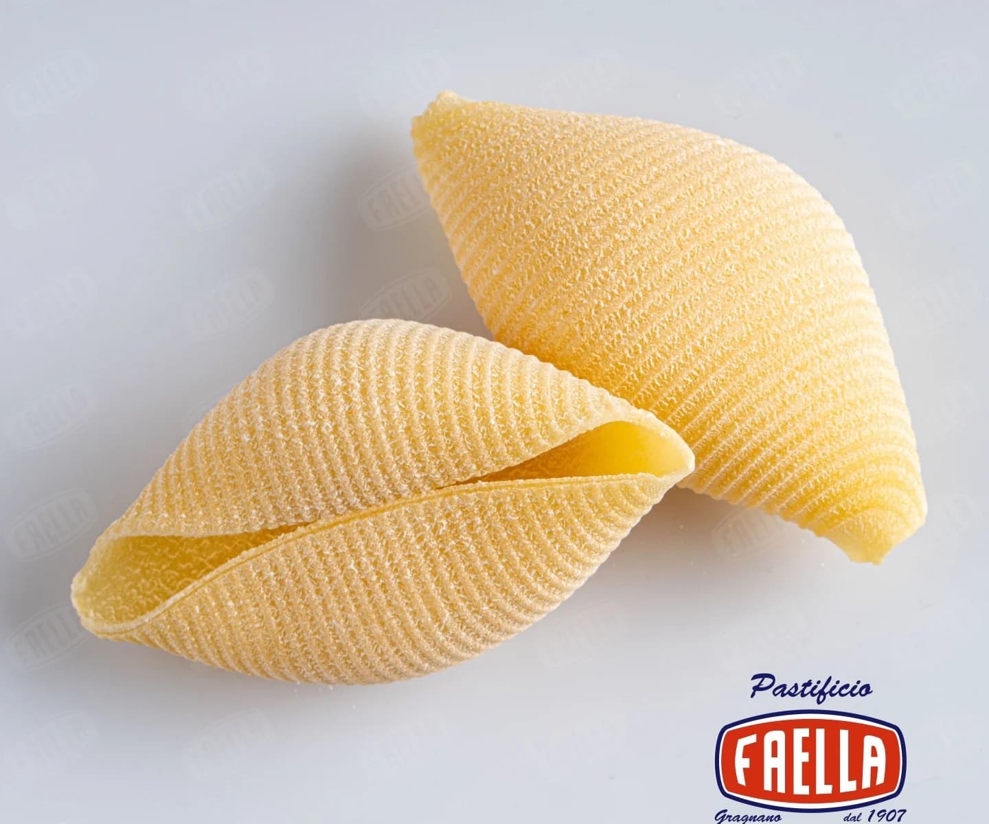 콘킬리오니 500g 2